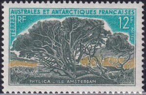 French Southern & Antartic Territories 27 Tree