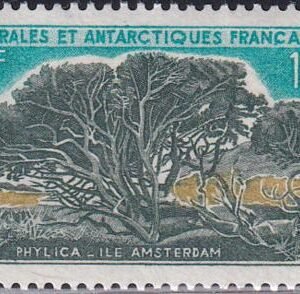 French Southern & Antartic Territories 27 Tree