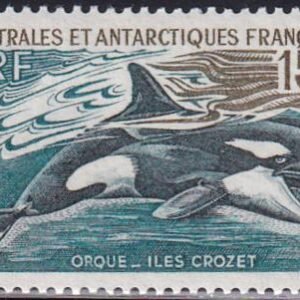 French Southern & Antartic Territories 27a Whale
