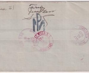 US South Carolina, Pacolet Mills 634, 551 Fancy Cancel Cover, Tulip