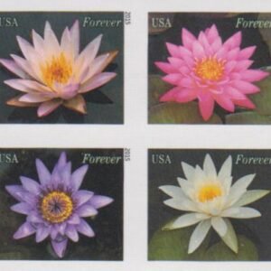 US Modern Imperf 2015 Complete Year Set - Pairs