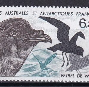 French Southern & Antartic Territories 139 Bird
