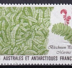 French Southern & Antartic Territories 145 Seaweed