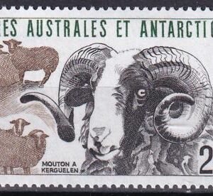 French Southern & Antartic Territories 149 Sheep
