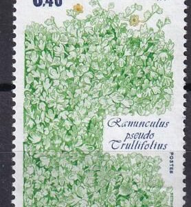 French Southern & Antartic Territories 157 Plants