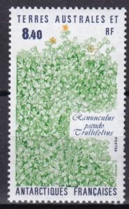French Southern & Antartic Territories 157 Plants