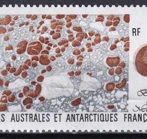 French Southern & Antartic Territories 159 Moss