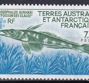 French Southern & Antartic Territories 164 Fish