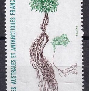 French Southern & Antartic Territories 166 Plant