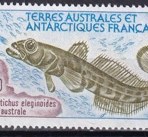 French Southern & Antartic Territories 168 Fish