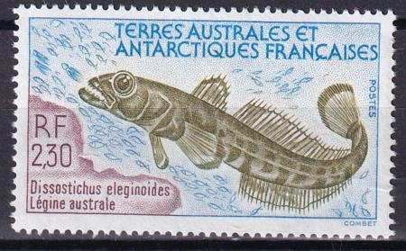 INV-28976itExt French Southern & Antartic Territories 168 Fish