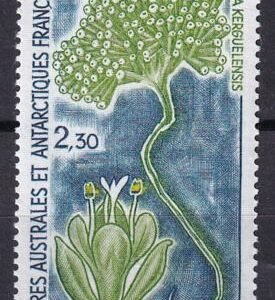 French Southern & Antartic Territories 185 Plant, Coral