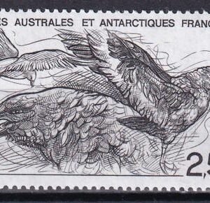 French Southern & Antartic Territories 187 Birds