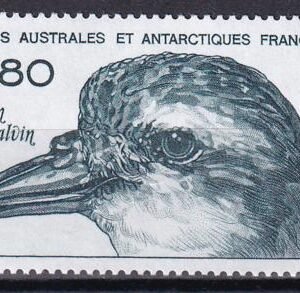 French Southern & Antartic Territories 197 Bird