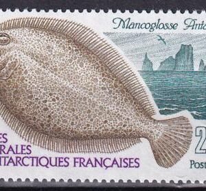 French Southern & Antartic Territories 204 Fish