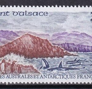 French Southern & Antartic Territories 207 Whales, Penguins