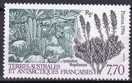 INV-29019itExt French Southern & Antartic Territories 220 Plant, Lichen