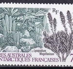 French Southern & Antartic Territories 220 Plant, Lichen