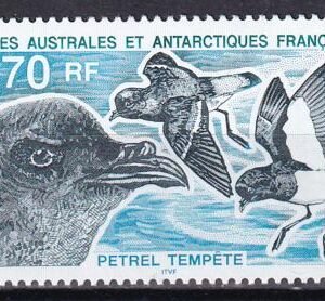 French Southern & Antartic Territories 223 Birds, Petrels