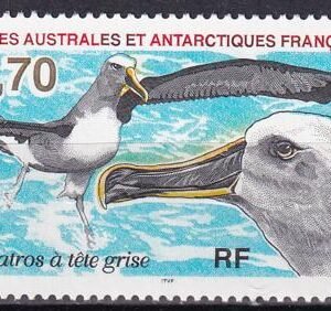 French Southern & Antartic Territories 238 Bird, Albatross