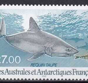 French Southern & Antartic Territories 242 Shark