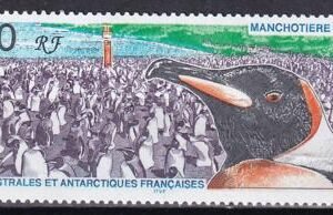 French Southern & Antartic Territories 247 Penguins