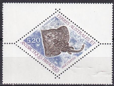 INV-29043itExt_8459dac2-3a7e-4192-bf04-8f9d76192969 French Southern & Antartic Territories 249 Stingray