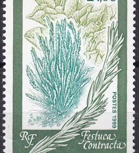 French Southern & Antartic Territories 255 Plants