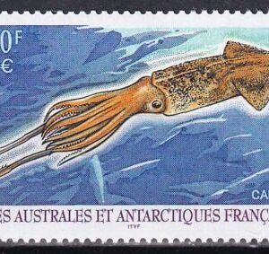 French Southern & Antartic Territories 287 Squid