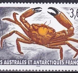 French Southern & Antartic Territories 308 Crab