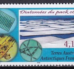 French Southern & Antartic Territories 309 Ice Diatoms