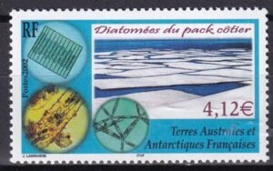 French Southern & Antartic Territories 309 Ice Diatoms