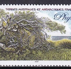 French Southern & Antartic Territories 321 Phylica, Plant