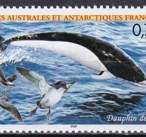 French Southern & Antartic Territories 334 Dolphins