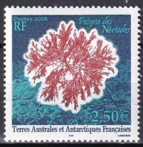 French Southern & Antartic Territories 351 Fern