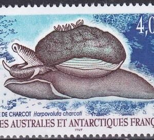 French Southern & Antartic Territories 352 Snail