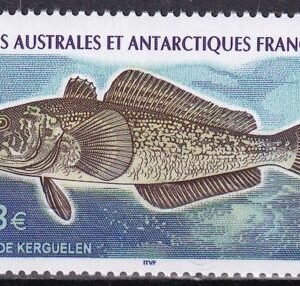 French Southern & Antartic Territories 370 Hake