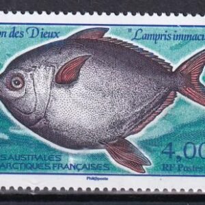 French Southern & Antartic Territories 382 Southern Opah Fish