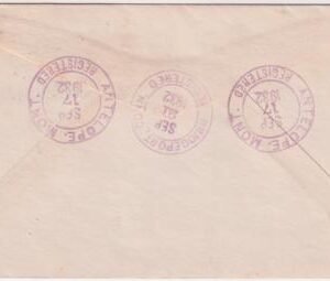 US Montana, Antelope 641 Fancy Cancel Cover Antelope in Circle