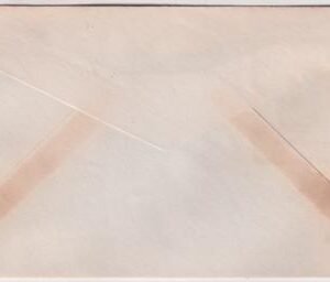 US Pennsylvania, Fishertown 726 Fancy Cancel Cover, Fish,Fisherman, Boat