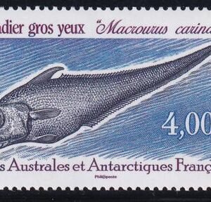 French Southern & Antartic Territories 402 Rideg-Scaled Rattail fish