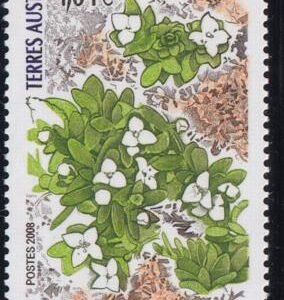 French Southern & Antartic Territories 403 Flowering Bedstraw