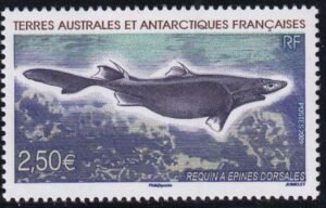 French Southern & Antartic Territories 415 Shark