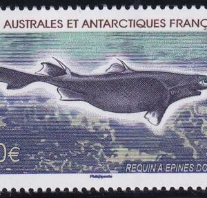 French Southern & Antartic Territories 415 Shark