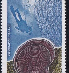 French Southern & Antartic Territories 417 Scallop Research