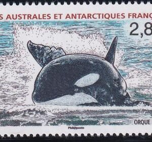 French Southern & Antartic Territories 428 Orca Whale