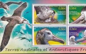 French Southern & Antartic Territories 433 Albatross M/S