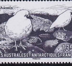 French Southern & Antartic Territories 440 Birds