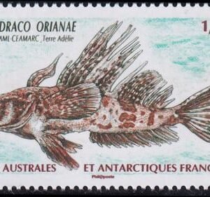French Southern & Antartic Territories 441 Fish