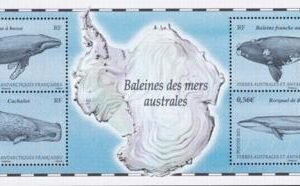 French Southern & Antartic Territories 445 Whales M/S